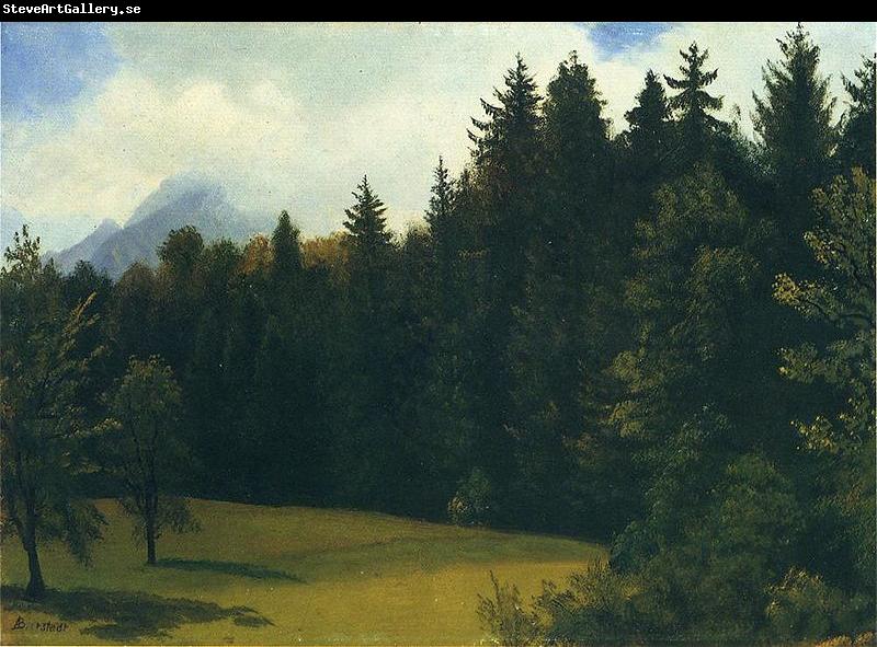 Albert Bierstadt Greater San Francisco Area (Mountain Glade and Mountain Resort)